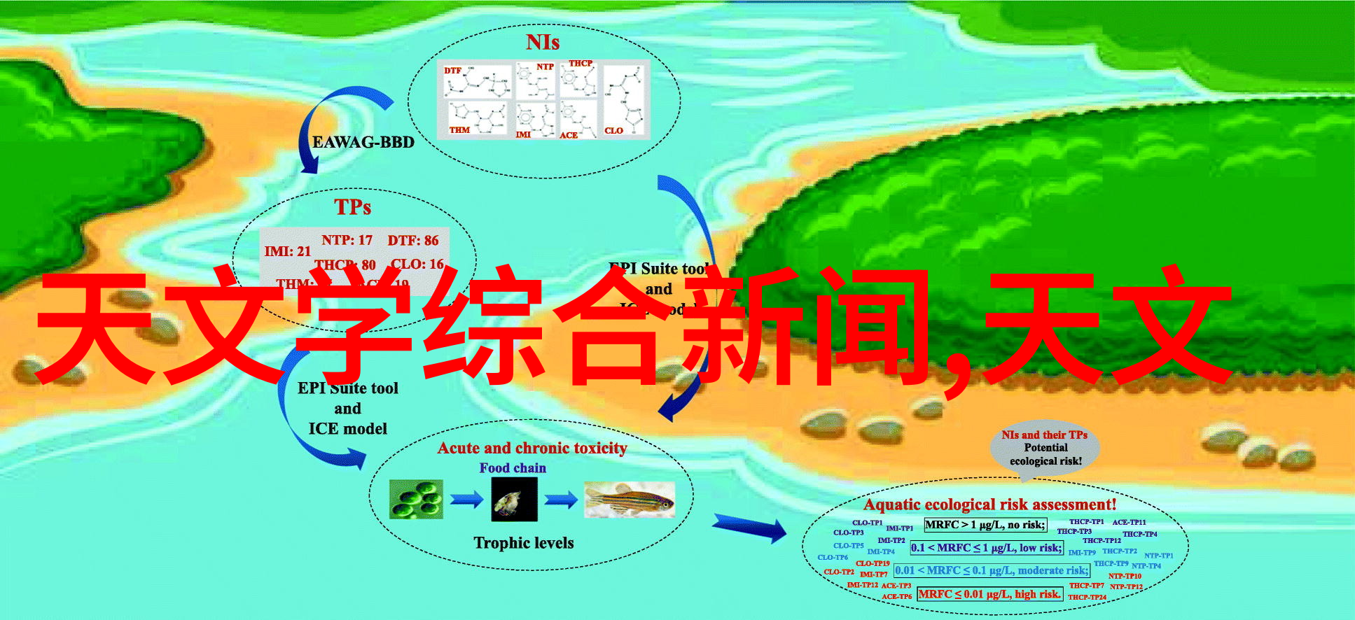 风雨中的网络沐风网的故事与力量