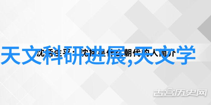 野花中文字幕3我在繁忙的都市间寻找宁静一场与自然对话的奇遇