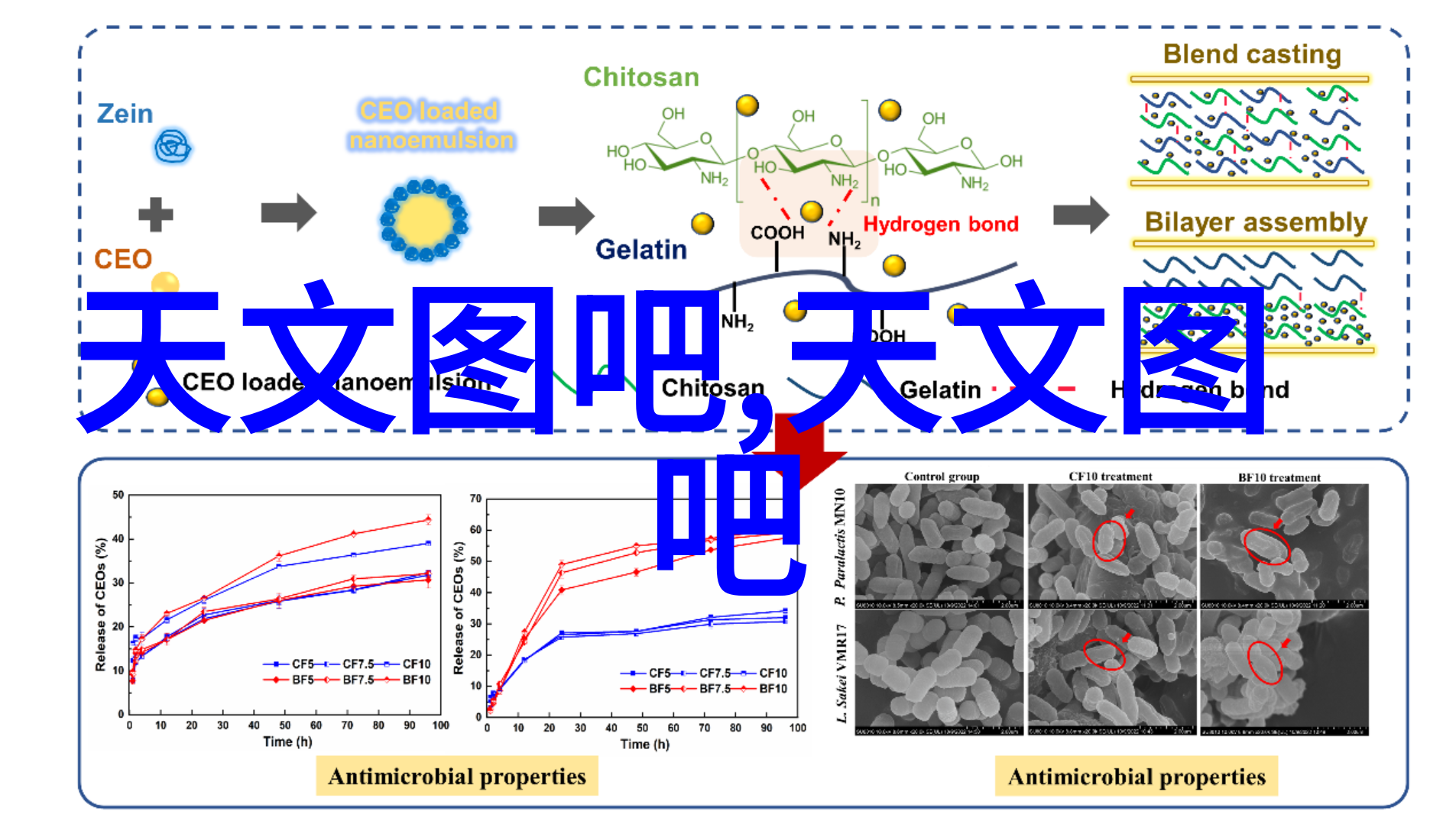 家居美学新篇章现代客厅装饰风尚