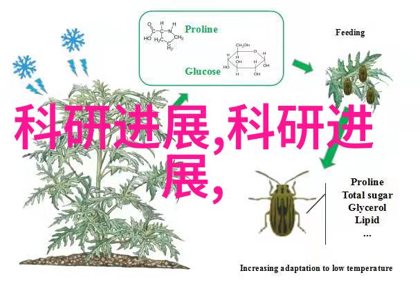 铁骨铸梦钢结构的巍峨之旅