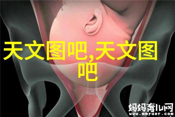 夏日冰箱之谜寻找那份8度的宁静