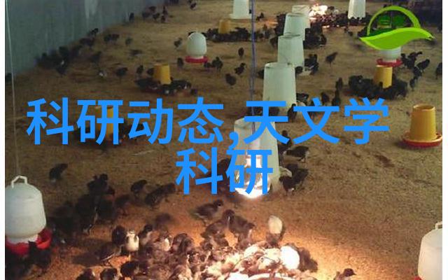 家庭客厅装修图片我家客厅的翻天覆地变化从暗淡到明亮从简约到时尚