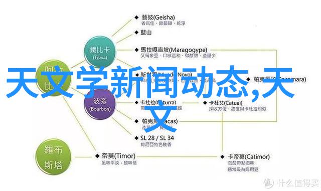 厨房必备烹饪的智能伙伴们