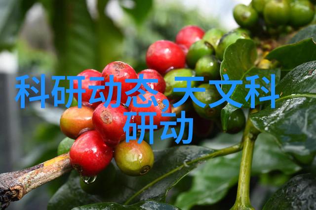 建筑给水排水设计规范解读与应用