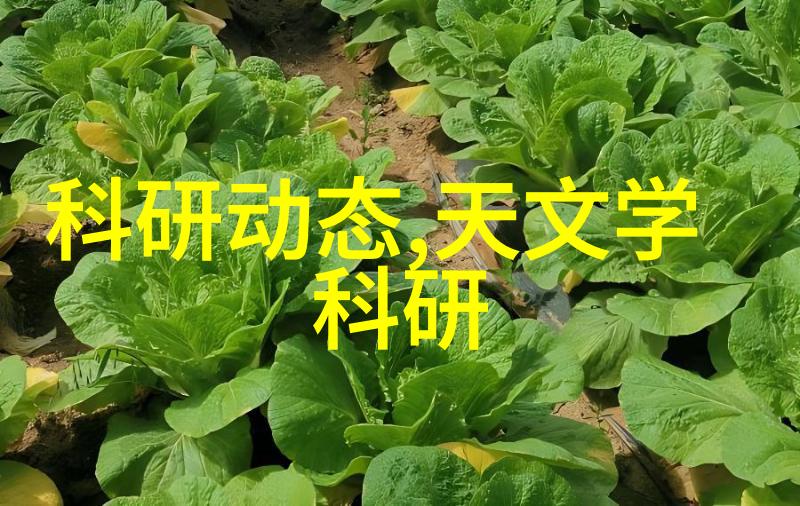 个体户水电安装经营范围-家庭用水系统的安全与美观装修