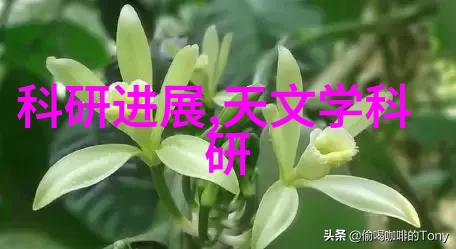 从规划到完工设计房子装修的全程指南