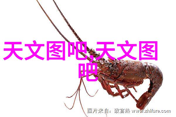 摄影灯光器材全方位解析与选择指南