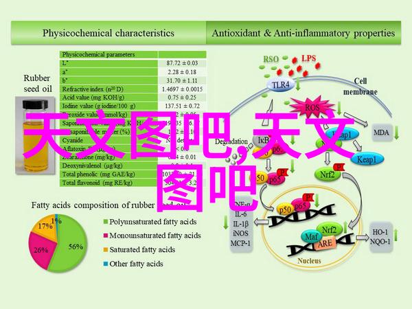 温馨奢华主卧整体装修效果图展现家居美学新篇章