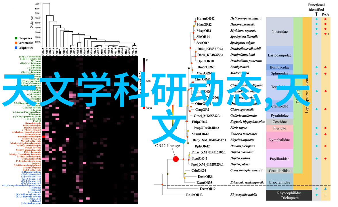 如何通过隐秘拍摄传达社会问题案例分析