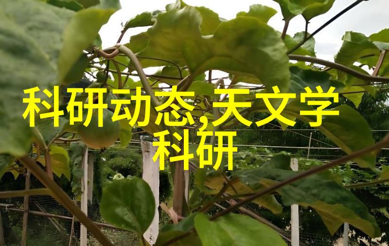 超高分辨场发射扫描电子显微镜 SU8600系列