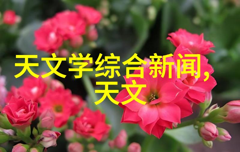 川内伦子风中的秘密花园