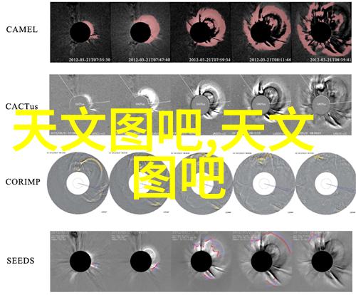 数据驱动决策利用R最新报价洞察业务机会和风险