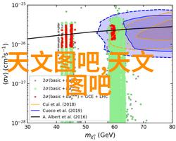 DSLR与微单系统相机哪种更适合初学者