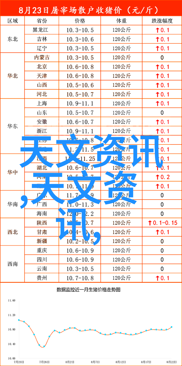 深圳信息职业技术学院的教育理念与实践