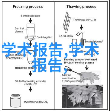 LLC的法律框架与运营实践