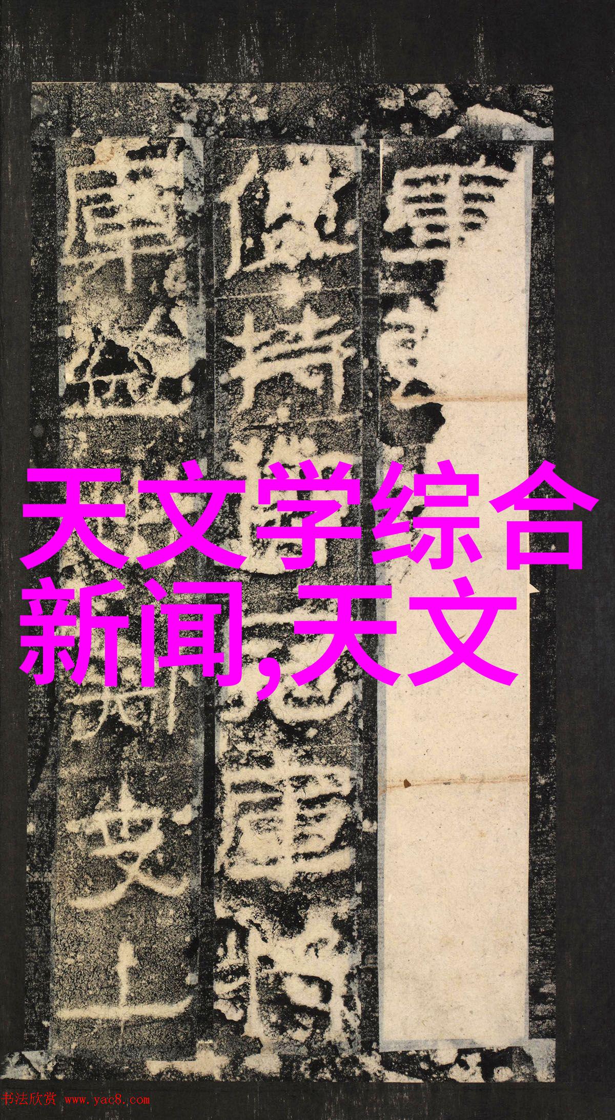 朋友的妈妈2在完整有限中字木瓜翻译 - 木瓜中的完美母爱一个限定篇章的探索