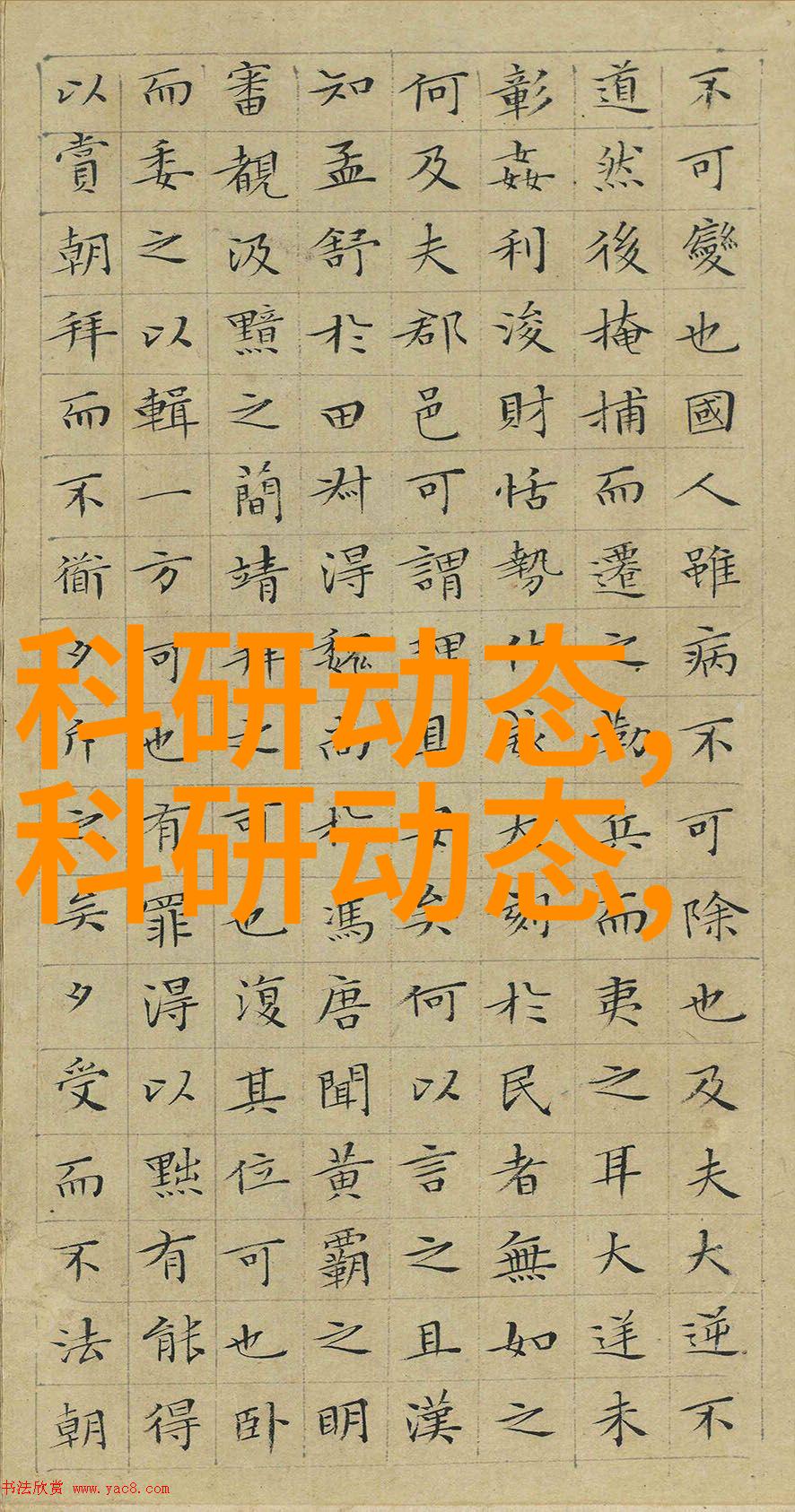 r是什么意思啊-探索r字的多重含义与文化背后故事