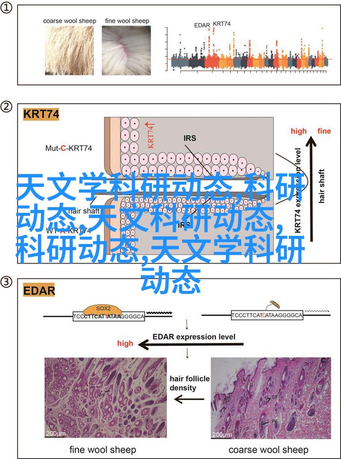 简洁厨房