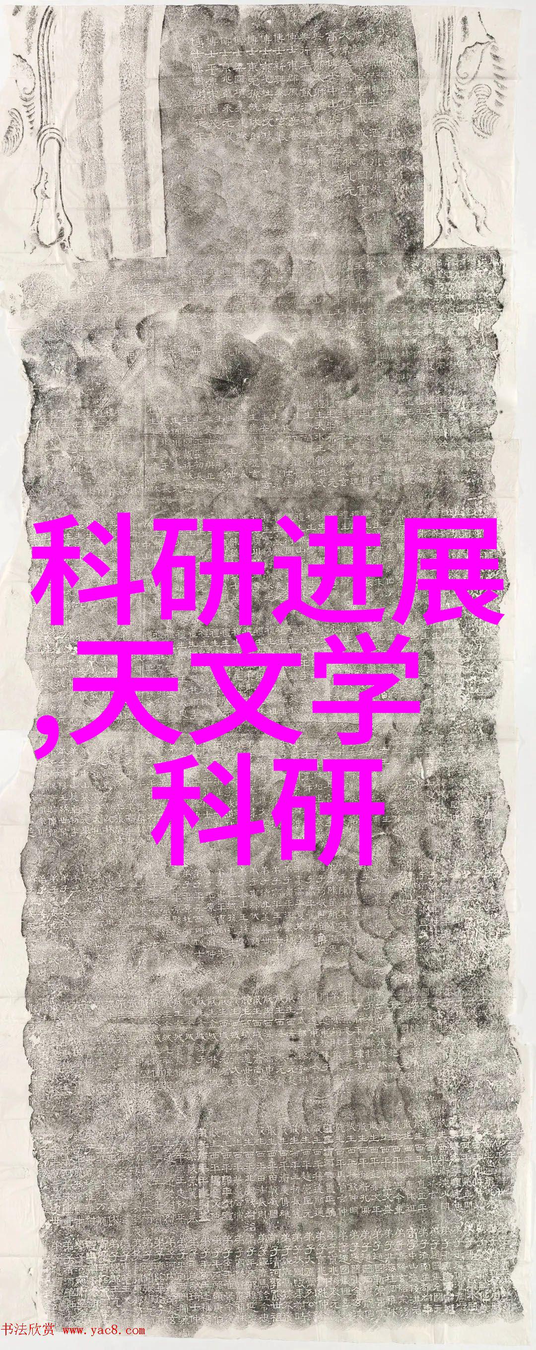 桑椹干包装机械