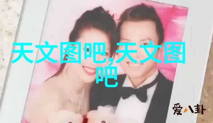 经典欧洲风格厨房装修技巧如何选择和搭配冰箱以提升整体美观