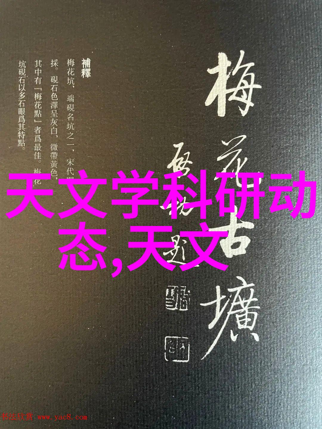 转型发展下的川內倫子新时代新篇章