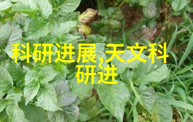 外墙饰面砖工程施工及验收规程材料选择与设计的最佳实践有哪些