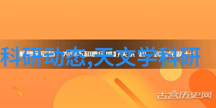 红薯烤制艺术微波炉轻松烤制家常健康食谱