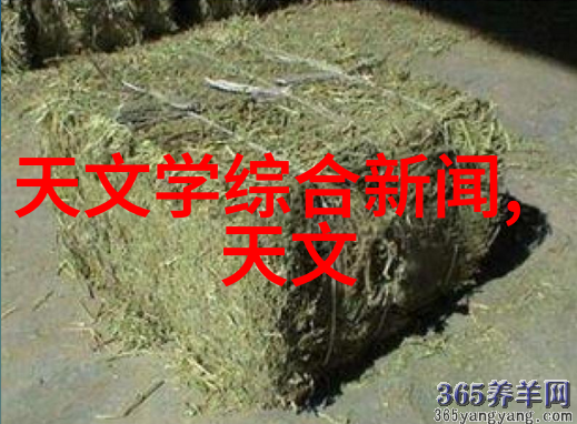 摄影的微博-镜头下的故事微博时代的摄影艺术探索