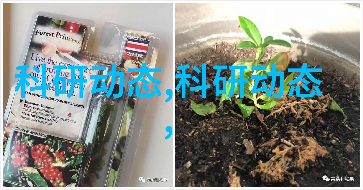 心动不如行动你的健康伴侣华为运动健康手表app下载让每一步都充满力量