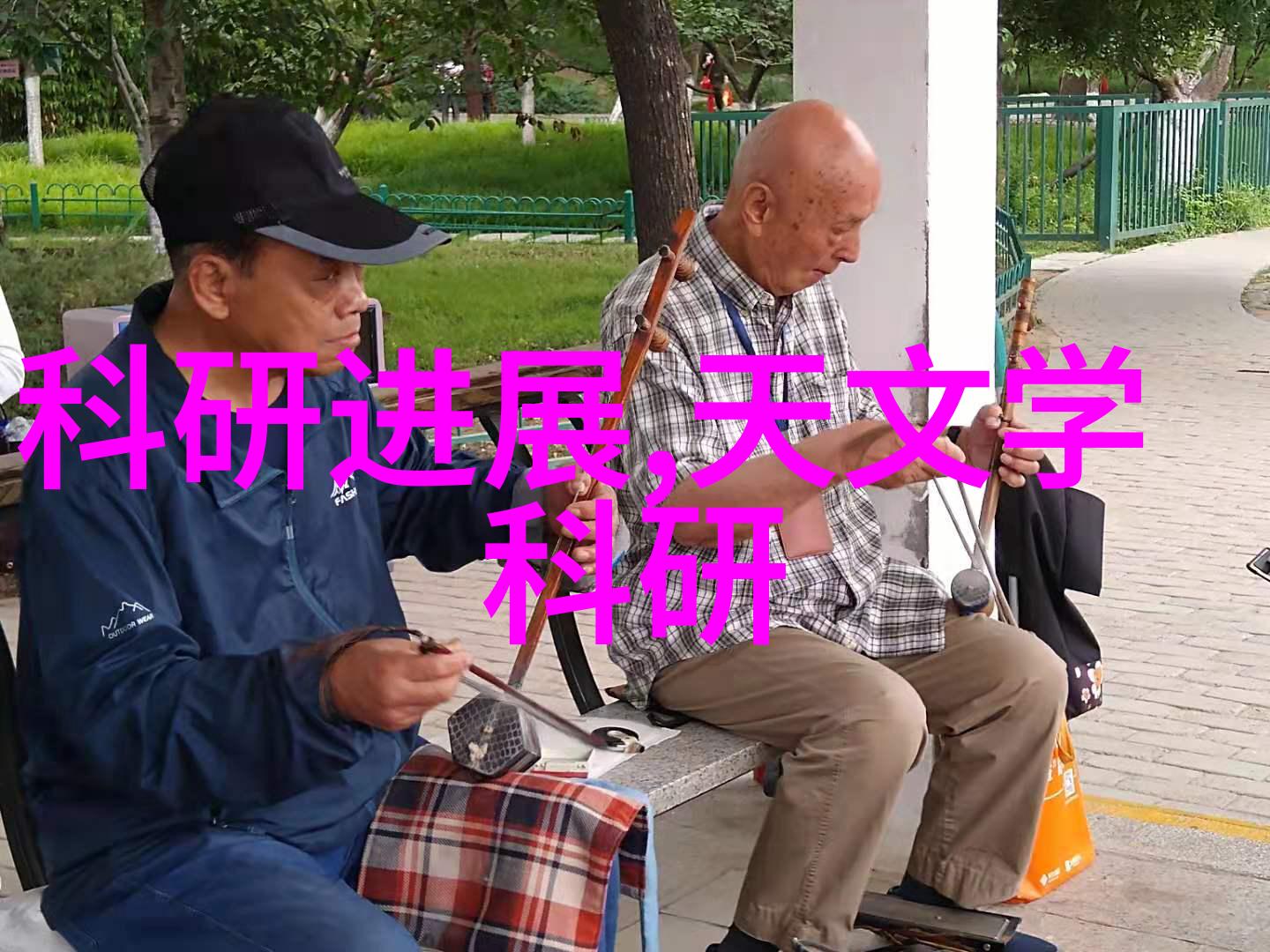 河南省专业技术人员公共服务平台我的技能提升之路开启了