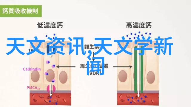 韩家炜教授解密数据挖掘秘籍将无结构物品信息转化为宝贵知识的艺术