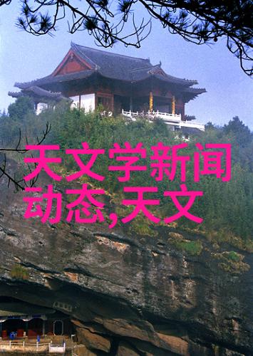 Canva大师从无名小卒到图形界的风云人物