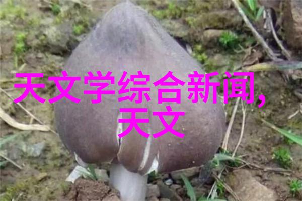 芯片是干什么用的揭秘这颗微小却强大的电子之心