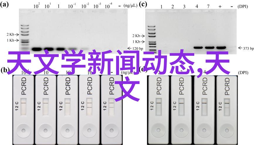 规费管理精确计算与合理收取的艺术