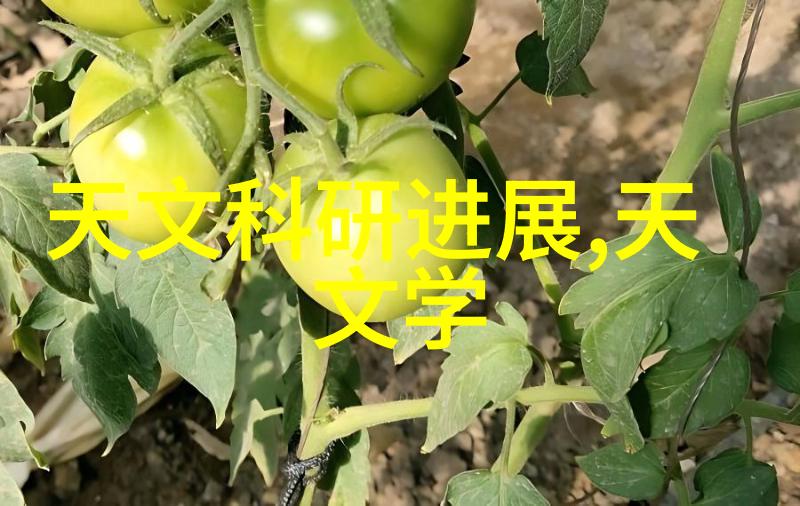 美学公式无删减我是如何从画布上找回生活的美学公式