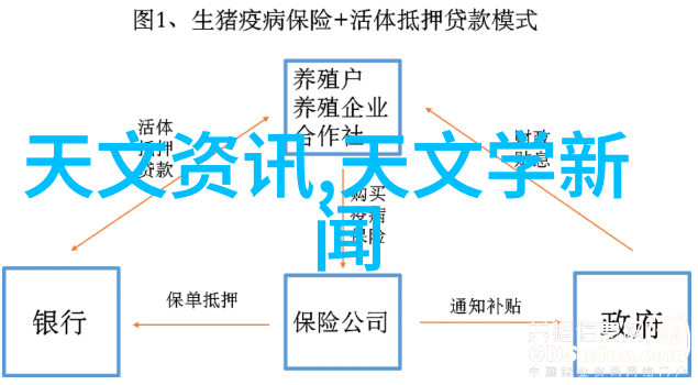 智能生活新宠万能手环APP的魅力与便利