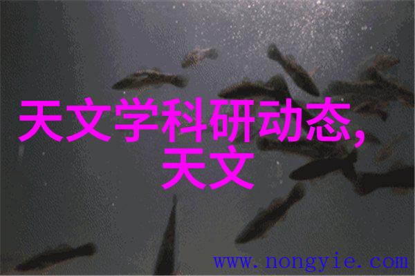 简约时尚现代装修风格指南