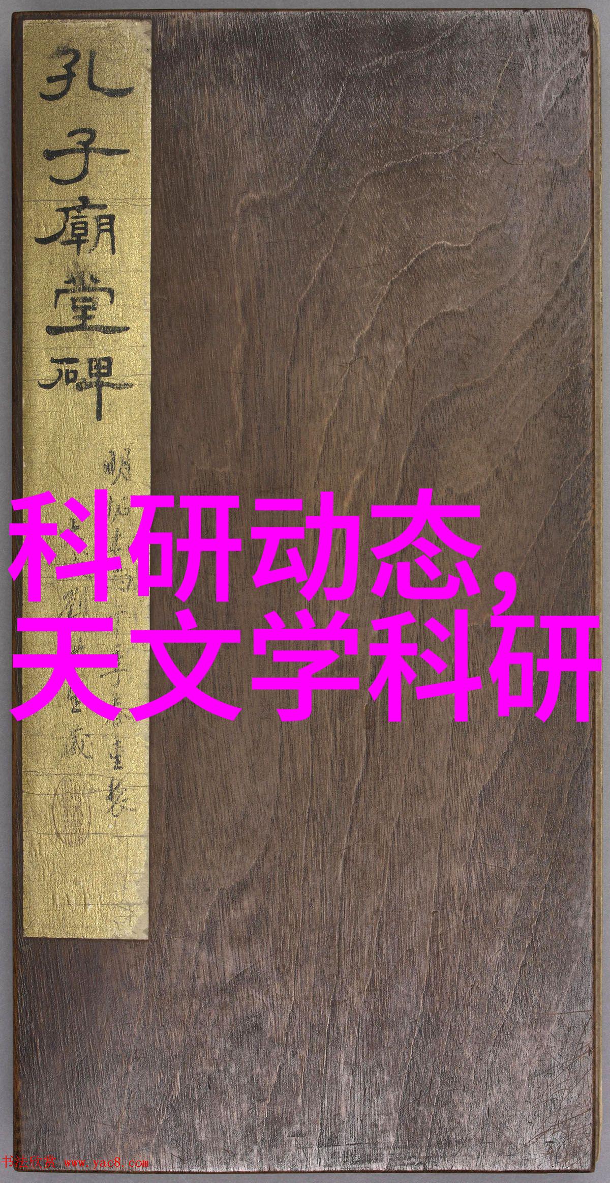 不锈钢丝网填料网金属之网织成生态守护者