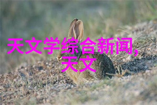 超声波消毒机高效杀菌无需化学品