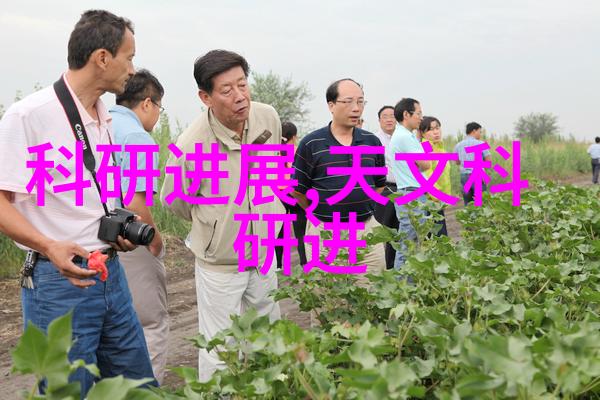 厨房装修效果图片中哪些设计元素最受欢迎