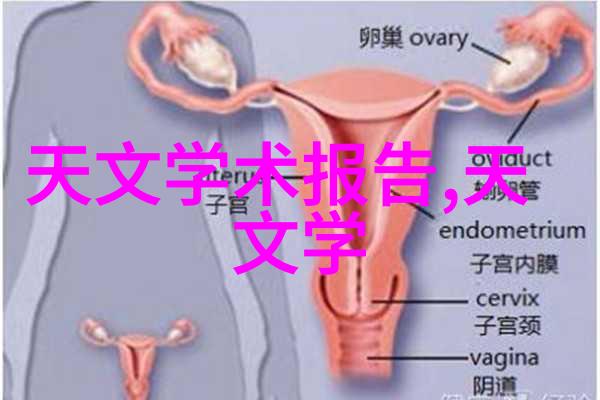 烹饪艺术的殿堂厨房装修设计效果图之美