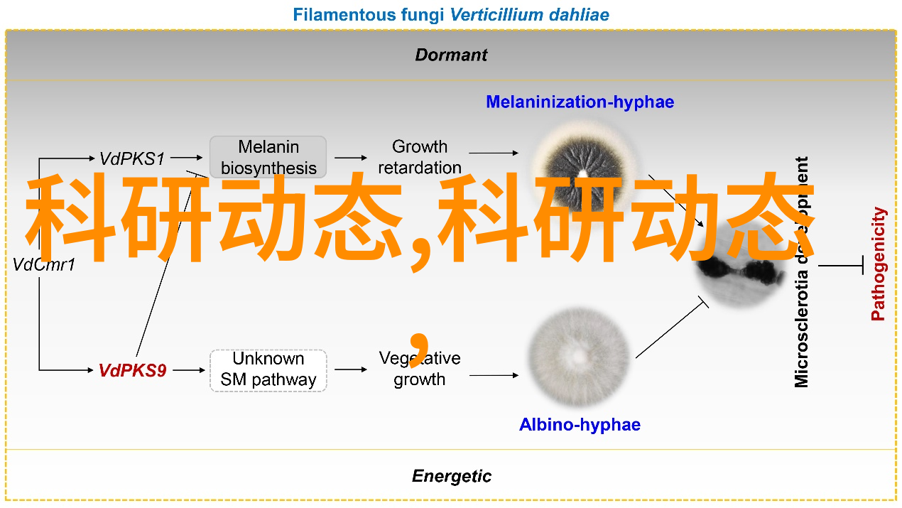 水利局如何规划和管理水资源