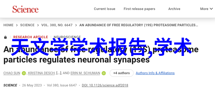 2021年客厅装修效果图片大全创意灵感满满的家居美学展现