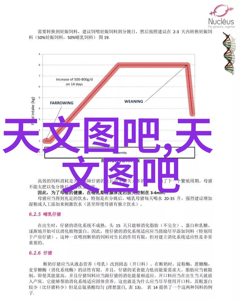 厨房局部装修现代简约风格厨房隔断设计