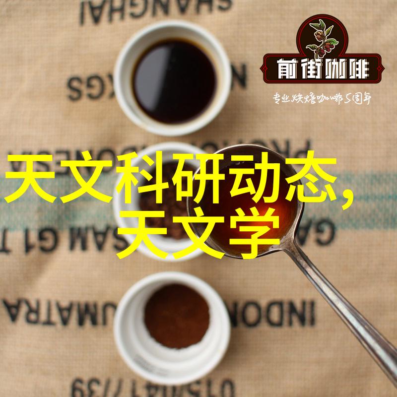 大型万能粉碎机我的超级厨房好帮手