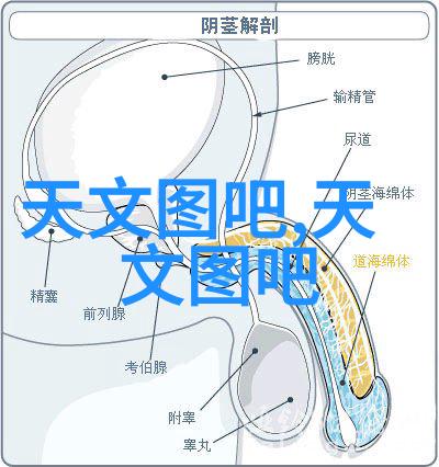 电气工程及其自动化智慧电网与智能制造的双重驱动力