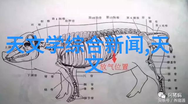 西门子家电在社会舞台上推出全新洗涤系列产品并展示微波炉技术开启精准护衣智能时代