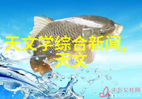 化工提取浓缩蒸发设备新星QN300低温高效节能浓缩器的奇迹结构