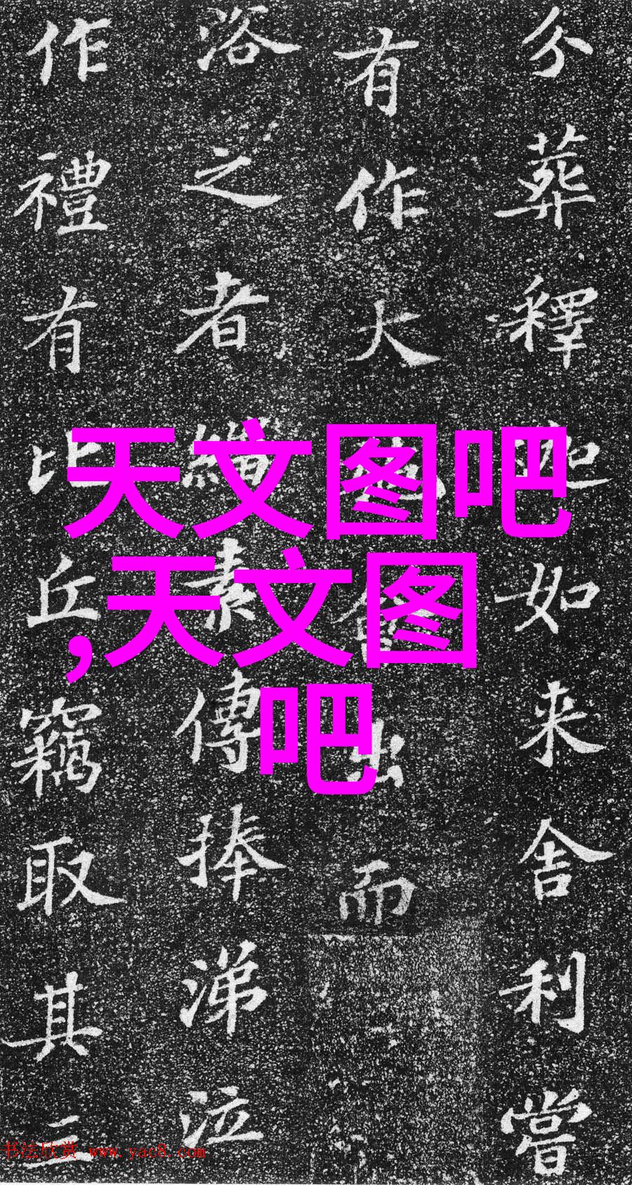 山东新华高压蒸汽灭菌器-高效消毒的现代化解决方案