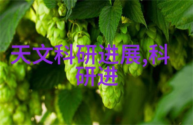 装修不再难房子变身艺术品